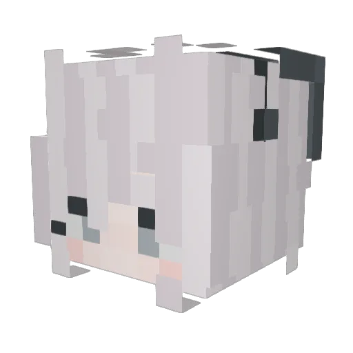 l_Witch_l Minecraft avatar head, 3D render