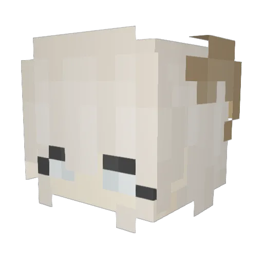 l_damare_l Minecraft avatar head, 3D render