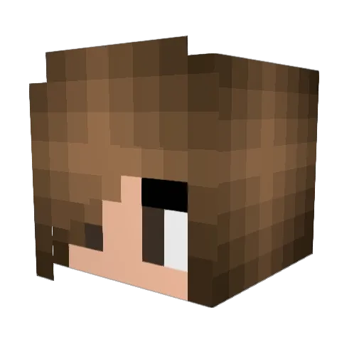 l_otter Minecraft avatar head, 3D render