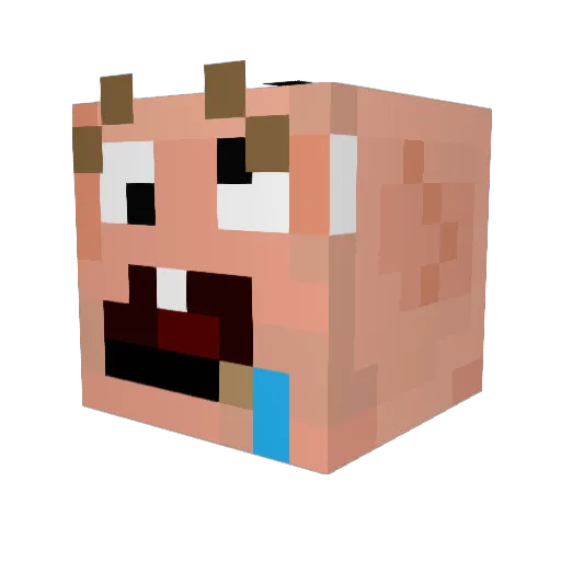 l_palin123 Minecraft avatar head, 3D render
