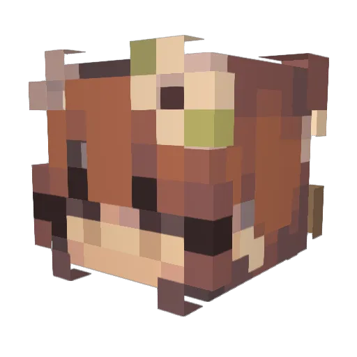laaibakhan Minecraft avatar head, 3D render