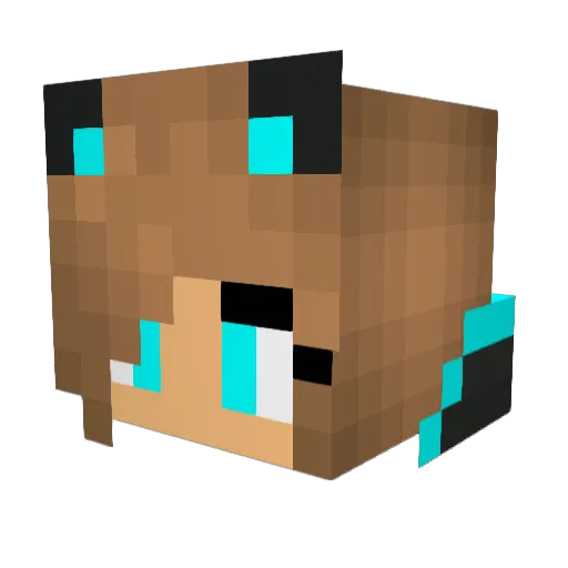 laaruaa Minecraft avatar head, 3D render
