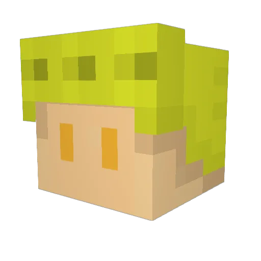 labda778 Minecraft avatar head, 3D render
