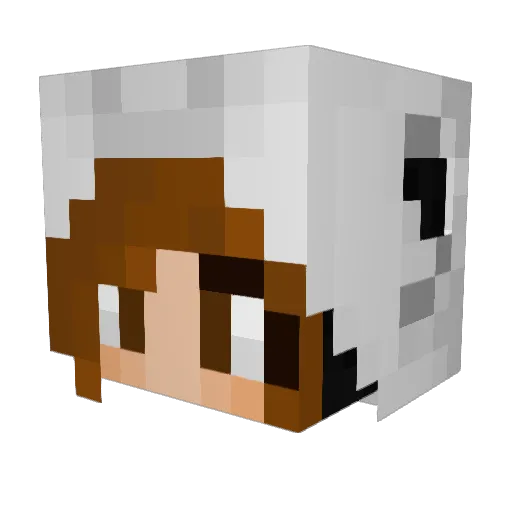 labrandie Minecraft avatar head, 3D render