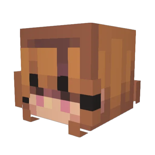 labyrinthsteve Minecraft avatar head, 3D render