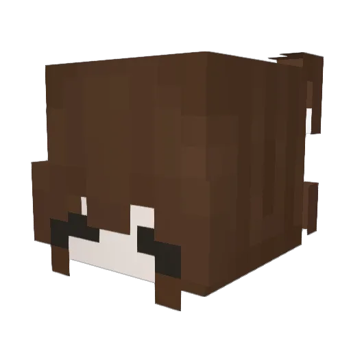 lacean Minecraft avatar head, 3D render