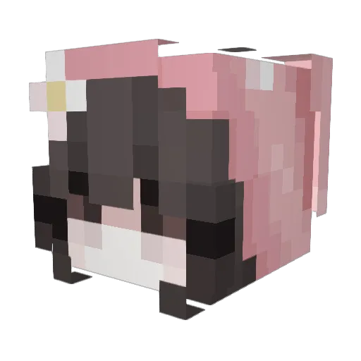 lacedpinkbow Minecraft avatar head, 3D render