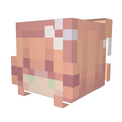 lacezzz Minecraft avatar head, 3D render