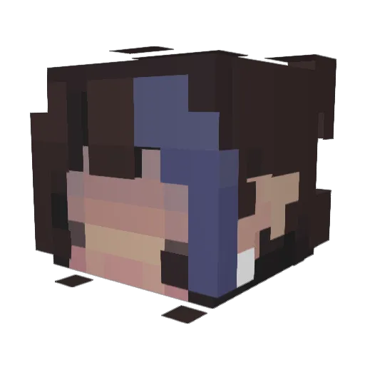 lachrimose Minecraft avatar head, 3D render