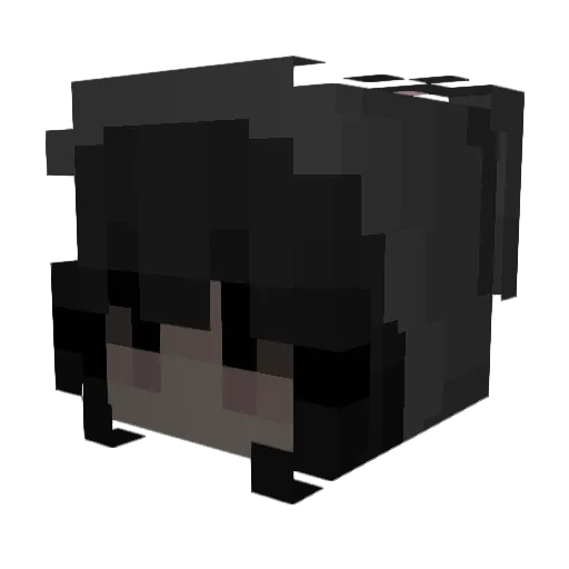 lachy3 Minecraft avatar head, 3D render