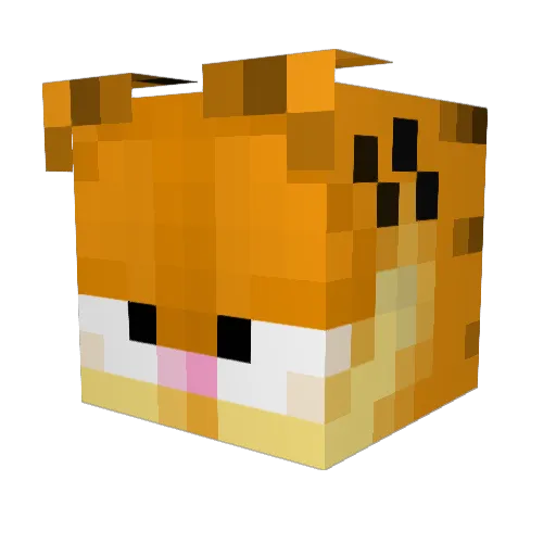lackykat Minecraft avatar head, 3D render