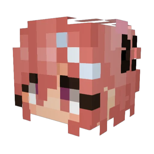 lacmc9 Minecraft avatar head, 3D render