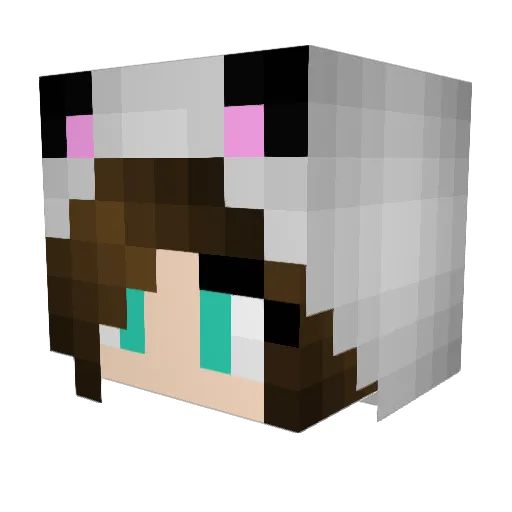 laconner14 Minecraft avatar head, 3D render