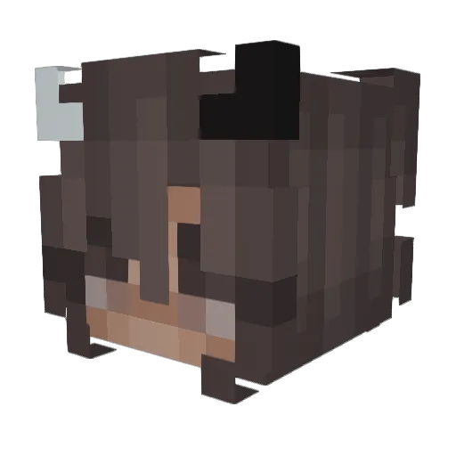 lacrimnike Minecraft avatar head, 3D render