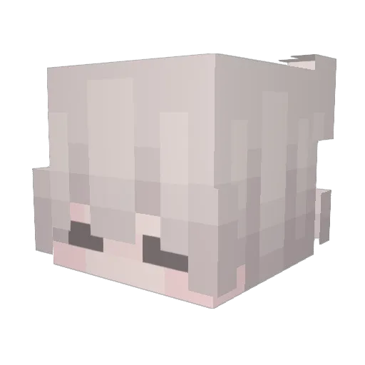 lacunaa_ Minecraft avatar head, 3D render