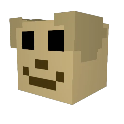 lacy1234 Minecraft avatar head, 3D render