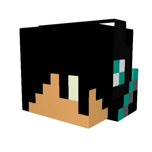 ladiesman220 Minecraft avatar head, 3D render