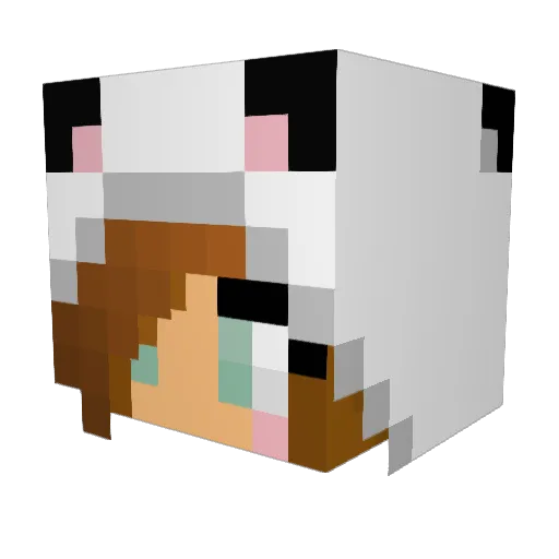 ladybird05 Minecraft avatar head, 3D render