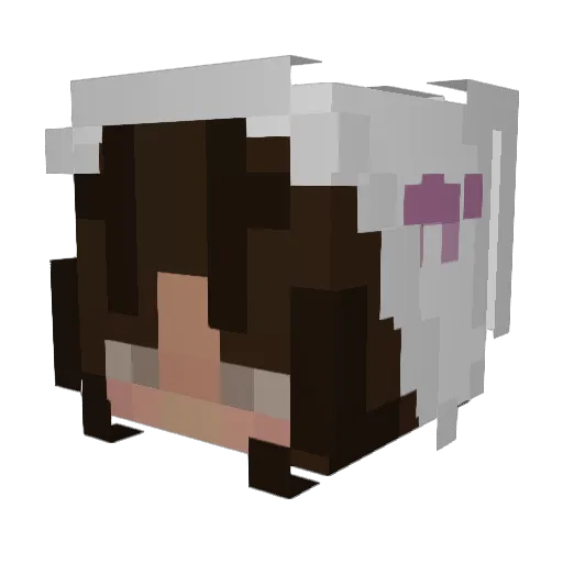 ladybugluvr Minecraft avatar head, 3D render