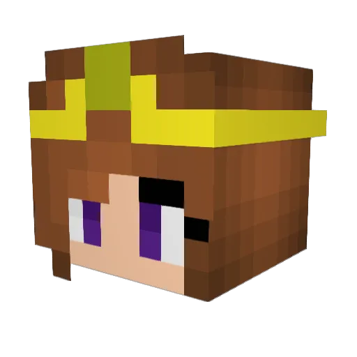 ladyfish27 Minecraft avatar head, 3D render