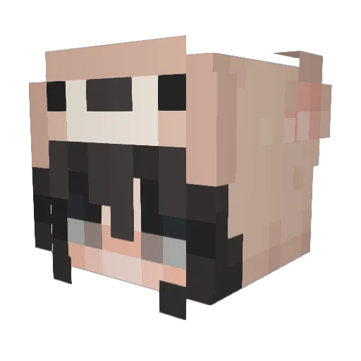 ladyhharu Minecraft avatar head, 3D render