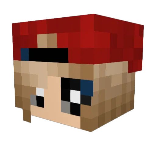 ladymine111 Minecraft avatar head, 3D render