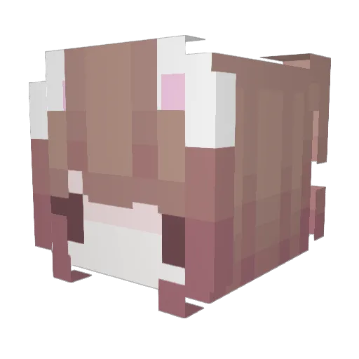 ladyssing Minecraft avatar head, 3D render