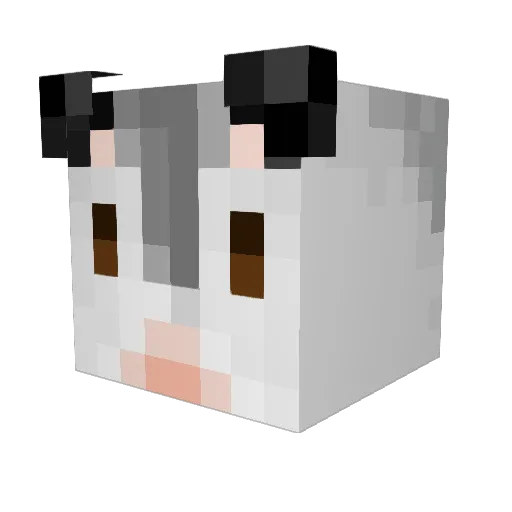 ladystrange25 Minecraft avatar head, 3D render