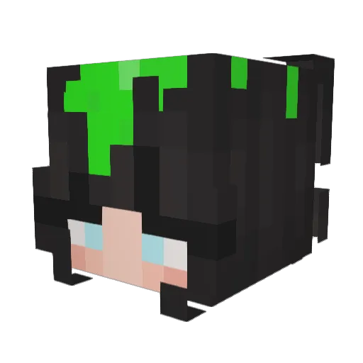 ladytacocat Minecraft avatar head, 3D render