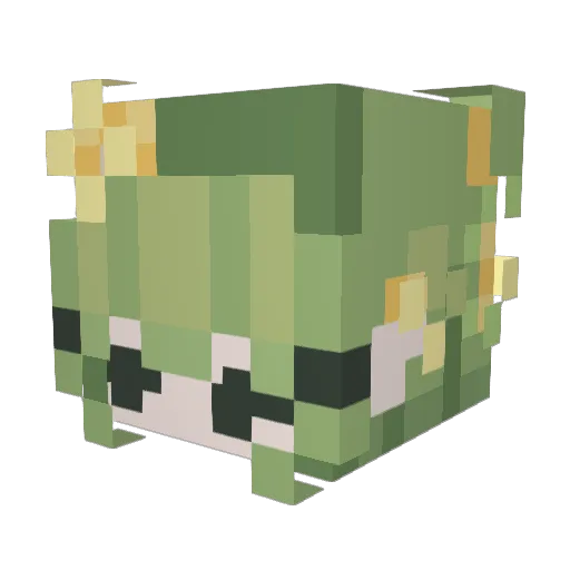 ladywitchie Minecraft avatar head, 3D render