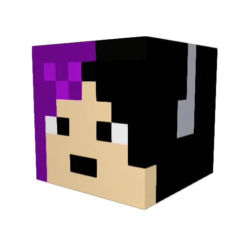 laerlaerlaer Minecraft avatar head, 3D render