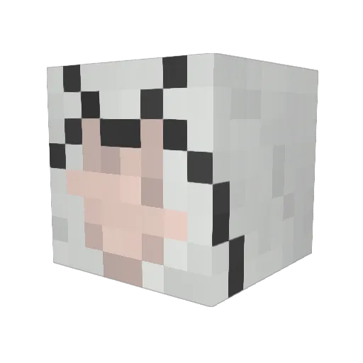lafton117 Minecraft avatar head, 3D render