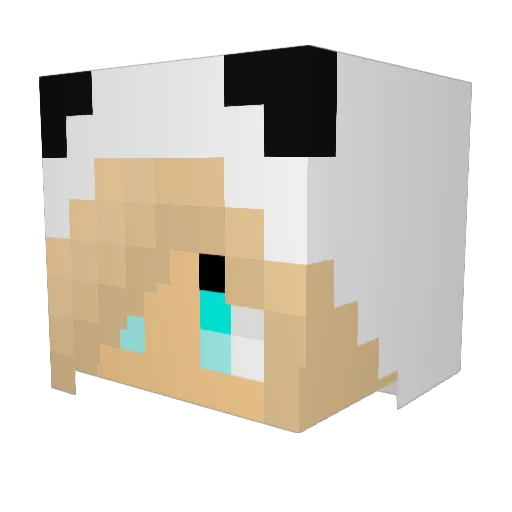 laia_verd Minecraft avatar head, 3D render