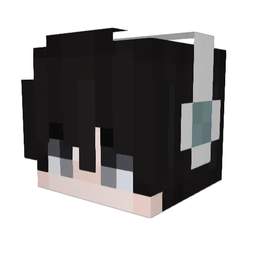 lailai1221 Minecraft avatar head, 3D render