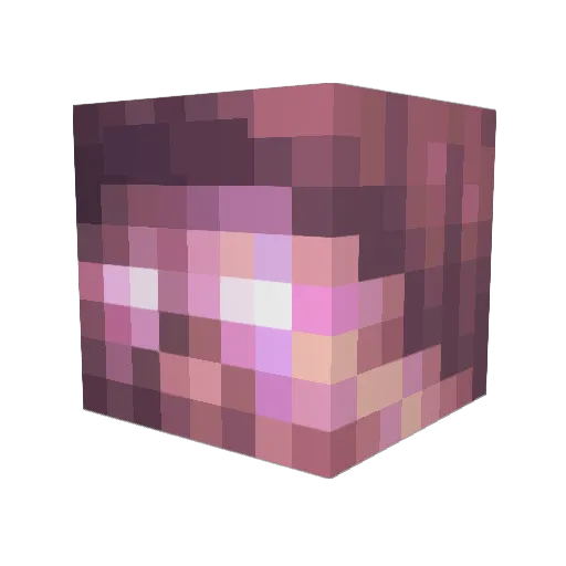 lailak2006 Minecraft avatar head, 3D render