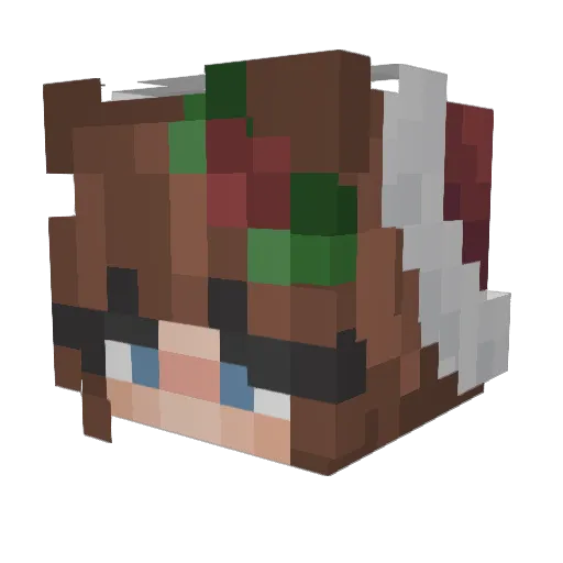 laineybug_ Minecraft avatar head, 3D render