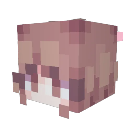 lainpill Minecraft avatar head, 3D render