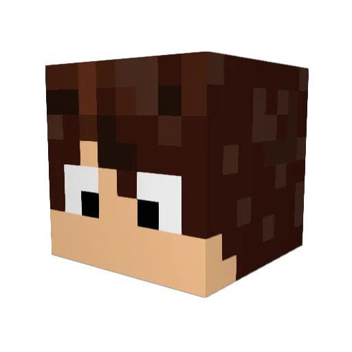 lainse13 Minecraft avatar head, 3D render