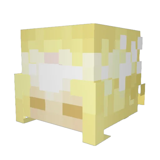 lainsworn Minecraft avatar head, 3D render