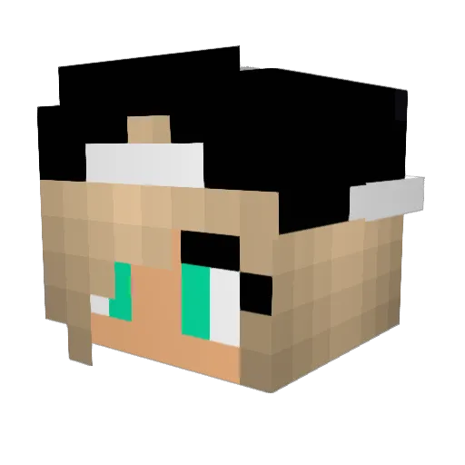 lainy423 Minecraft avatar head, 3D render