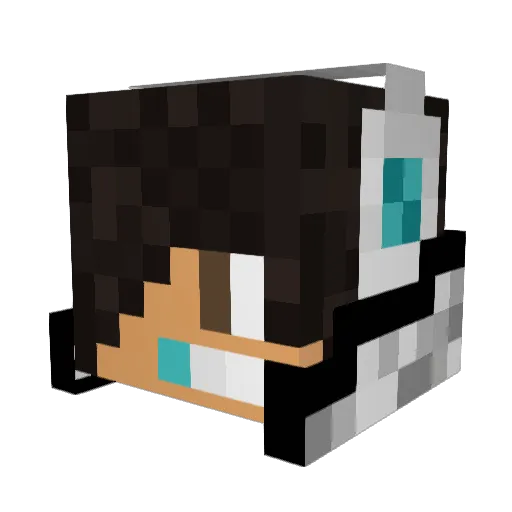 laisn Minecraft avatar head, 3D render