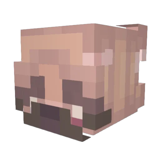 lajoss Minecraft avatar head, 3D render