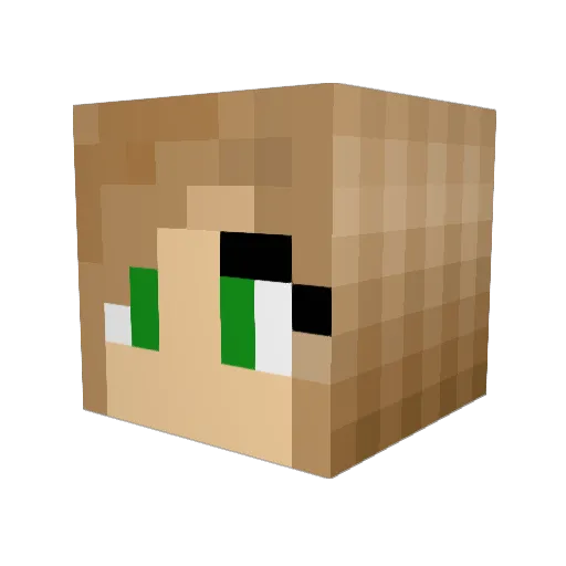 lak2002 Minecraft avatar head, 3D render