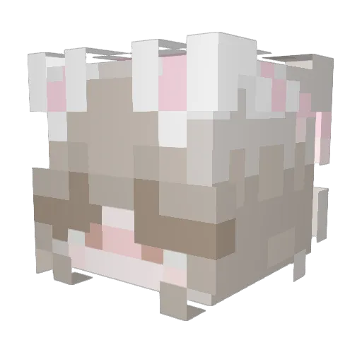 lakacha Minecraft avatar head, 3D render