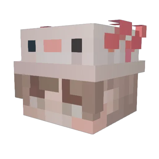 lakezone Minecraft avatar head, 3D render
