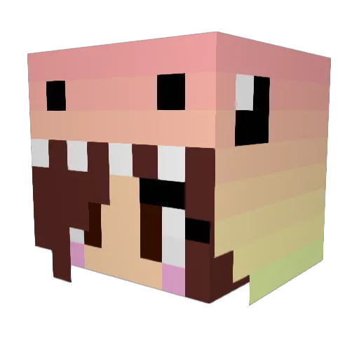 lakynbacon27 Minecraft avatar head, 3D render