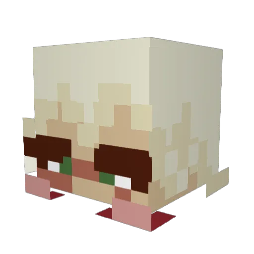 lalaoxd Minecraft avatar head, 3D render