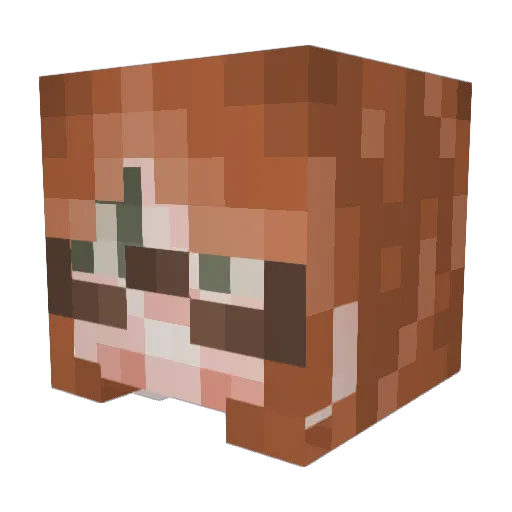 lalaroos Minecraft avatar head, 3D render
