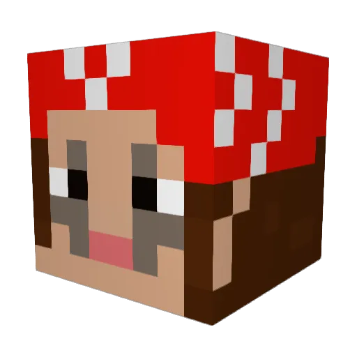 lalios Minecraft avatar head, 3D render