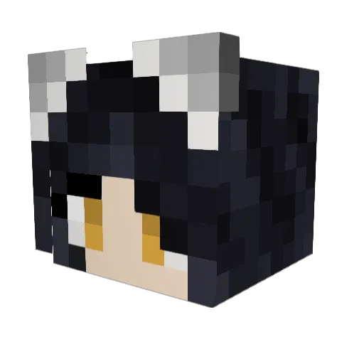 lama_exe Minecraft avatar head, 3D render